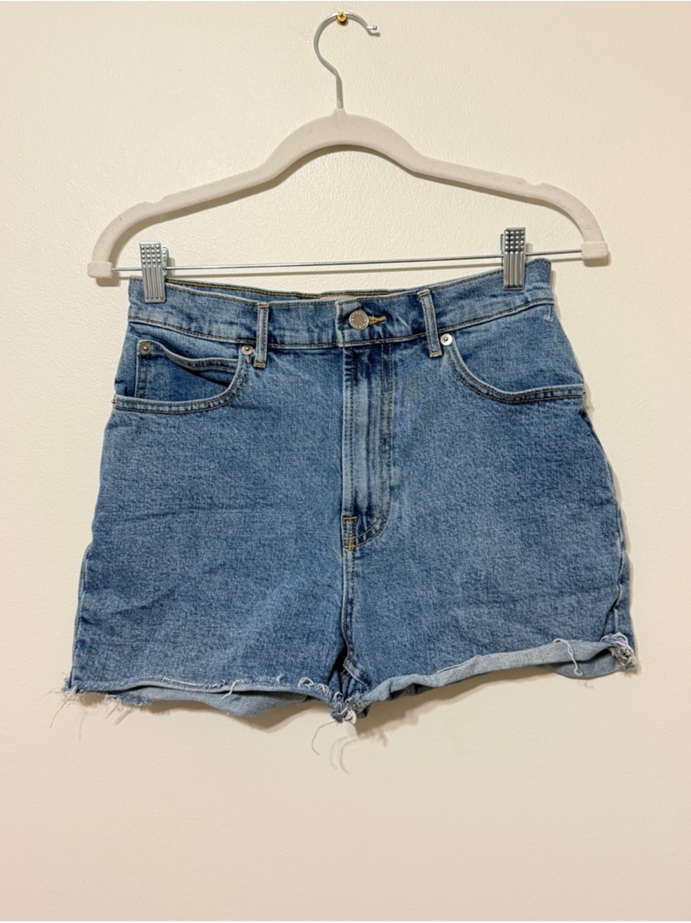 Everlane Denim High-Rise Blue Jean Shorts